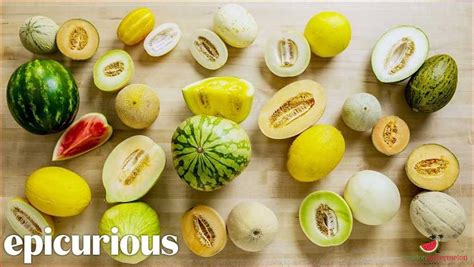 melons tybe|Melons Types